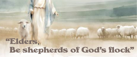 Be shepherds of God's flock