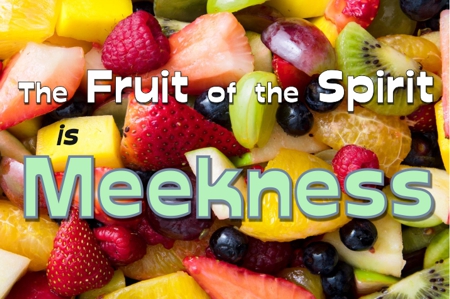The fruit of the Spirit is meekness