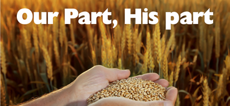 The parable of the growing seed