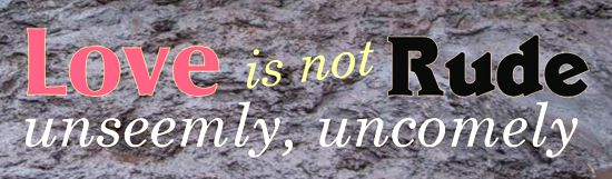 Love is not rude