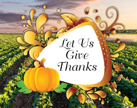 Giving thanks - Seed falling to the ground - Growing well